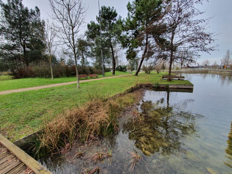 Les rives du parc Bülher près de Bordeaux lac