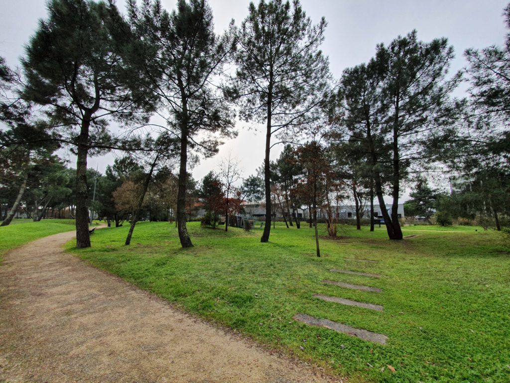 Le parc Bühler à Bordeaux lac est un des 4 sites suivis par A+R durant la saison de plantation