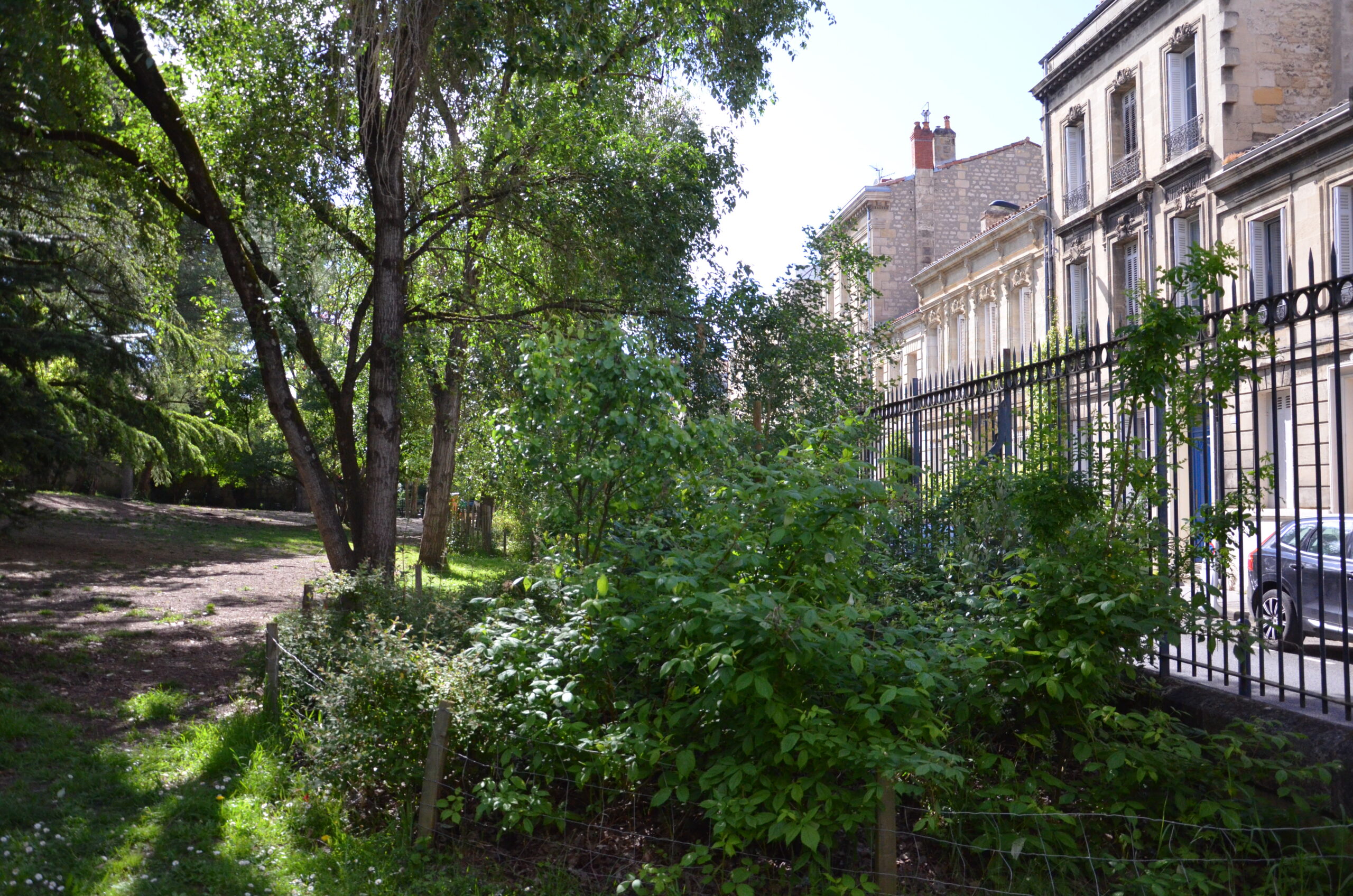 Végétal densifié du côté de la rue Georges Mandel, vis-à-vis adouci avec le square attenant