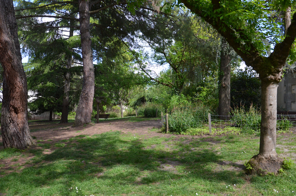 Vue du square Georges Mandel à Bordeaux, après les plantations réalisées par A+R