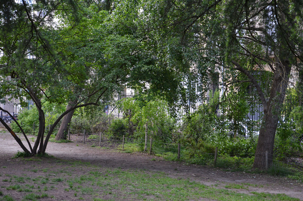 Vue du square Georges Mandel à Bordeaux, après les plantations réalisées par A+R