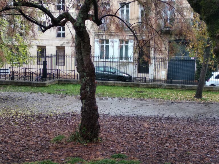 Vue du square Georges Mandel en 2021, avant les plantations menées par A+R Paysages