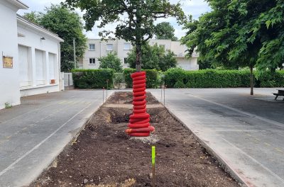 Fosse de plantation école Jules Ferry