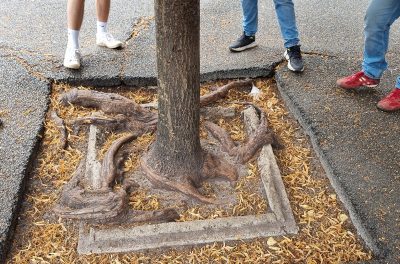 Les pieds à l'air