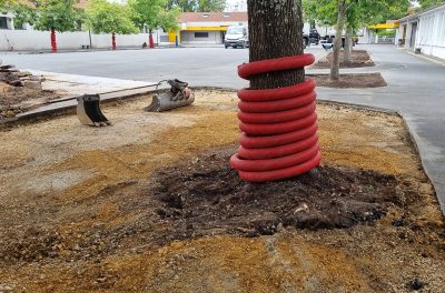 Pied d'arbre décrouté